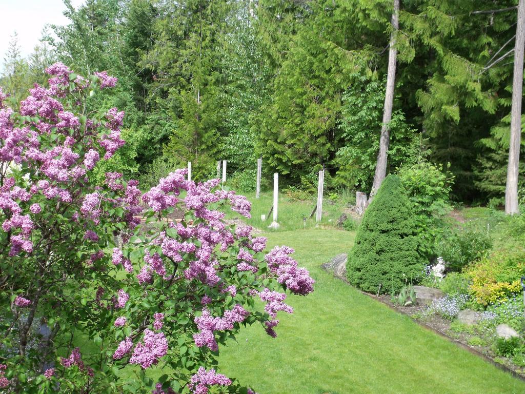 Silver Star Bed And Breakfast Vernon Værelse billede